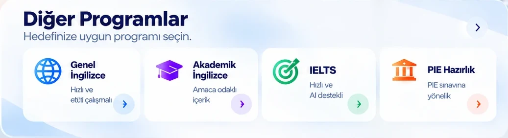 FLAT Academy programları: FLAT Hızlandırma, FLAT AI Platformu, diğer programlar ve ek hizmetler